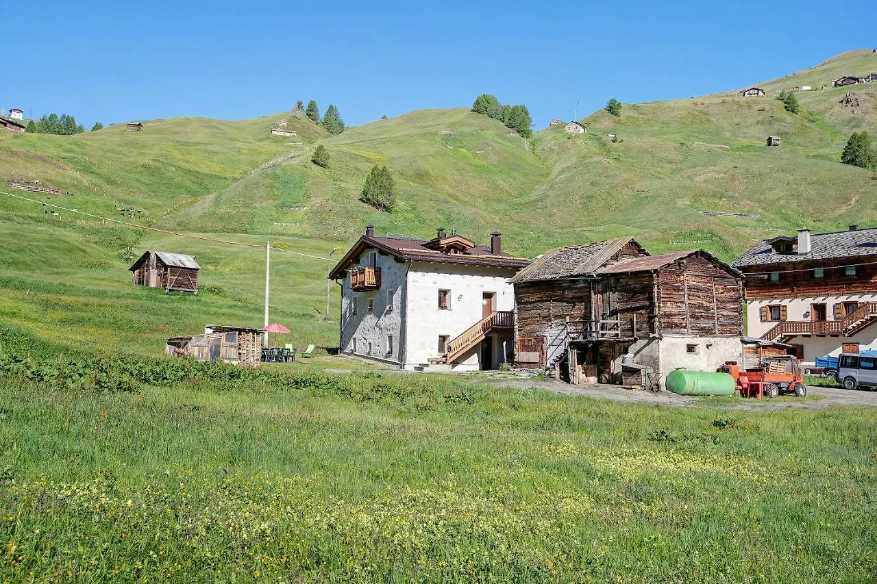 Appartamento Stefan Trepalle Livigno Italia
